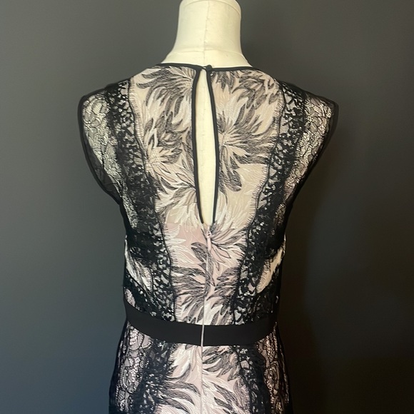 BCBG lace cocktail dress - Picture 6 of 7